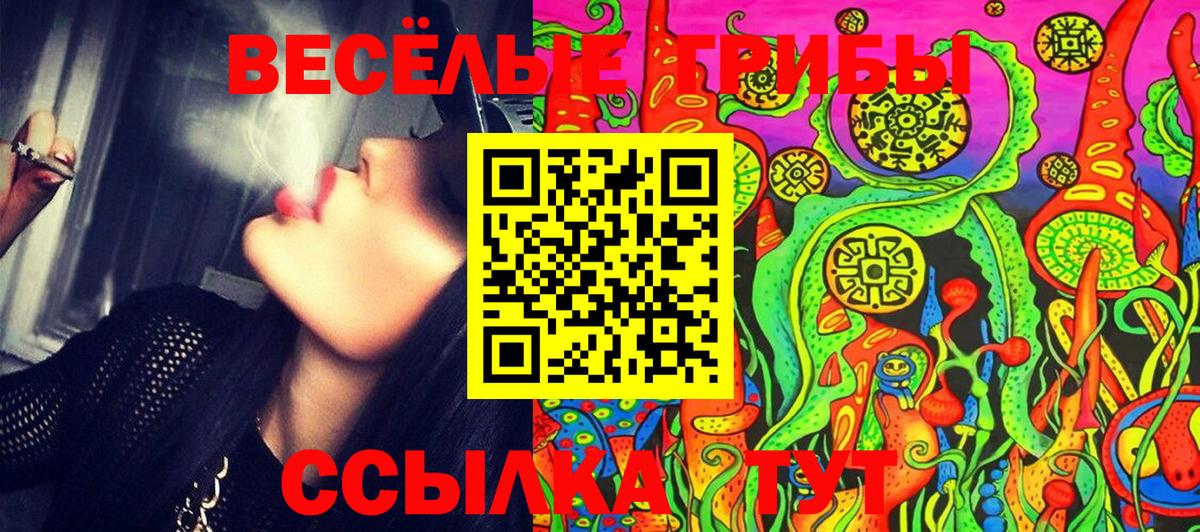Борзя  Галлюциногенные грибы Psilocybine cubensis  Псилоцибиновые грибы GOLDEN TEACHER  Вход с VPN 
