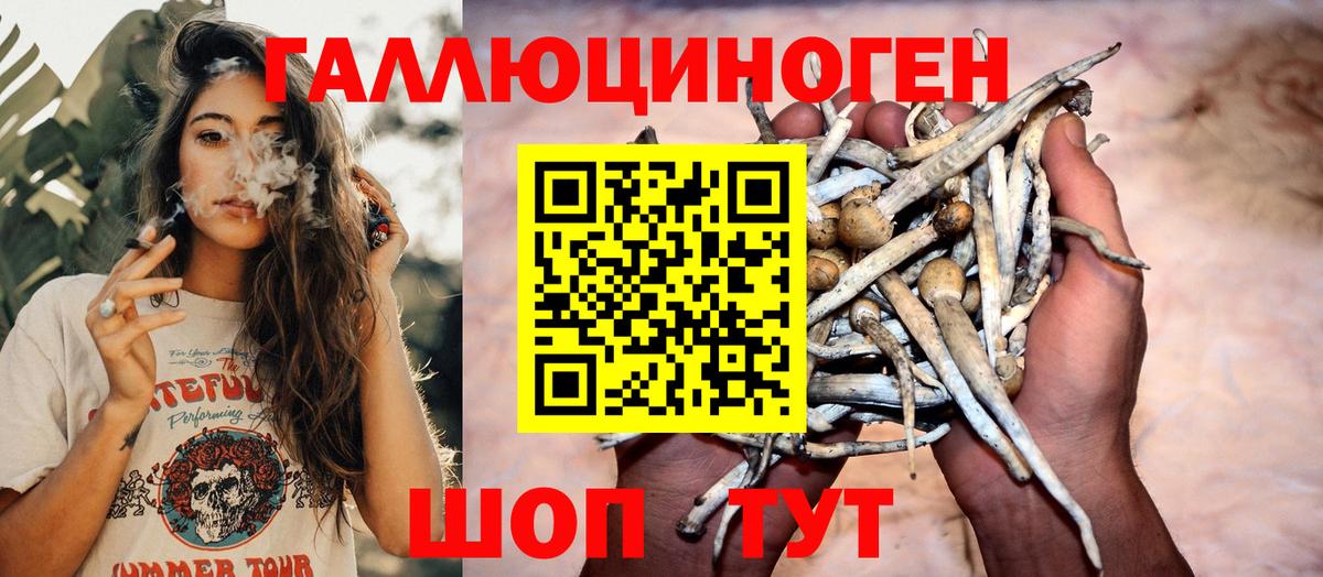 Галлюциногенные грибы ЛСД Борзя